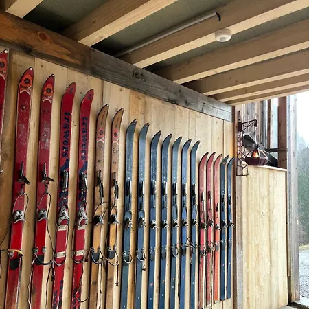 Les Secrets - & Appartement Montriond