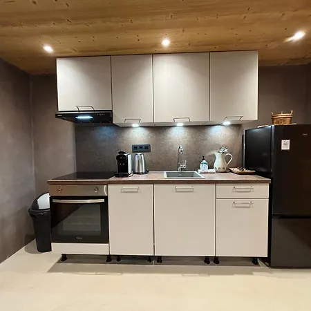 Les Secrets - Suites&apartments * Montriond