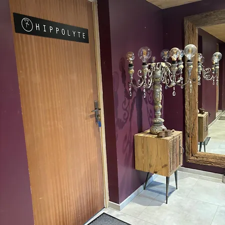 Les Secrets - Suites&apartments Montriond